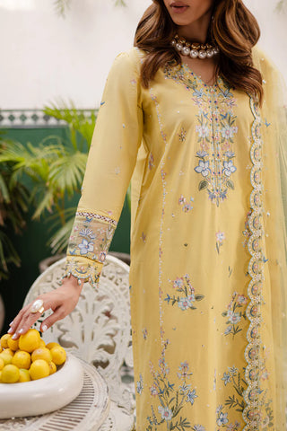 New Embroidery beautiful Artical Lawn 3pc