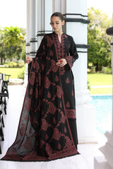 Luxury Embroidered Dhanak 3pc